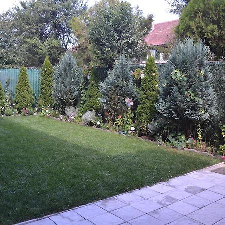 Gavri'S Relaxing Place 布拉索夫 外观 照片