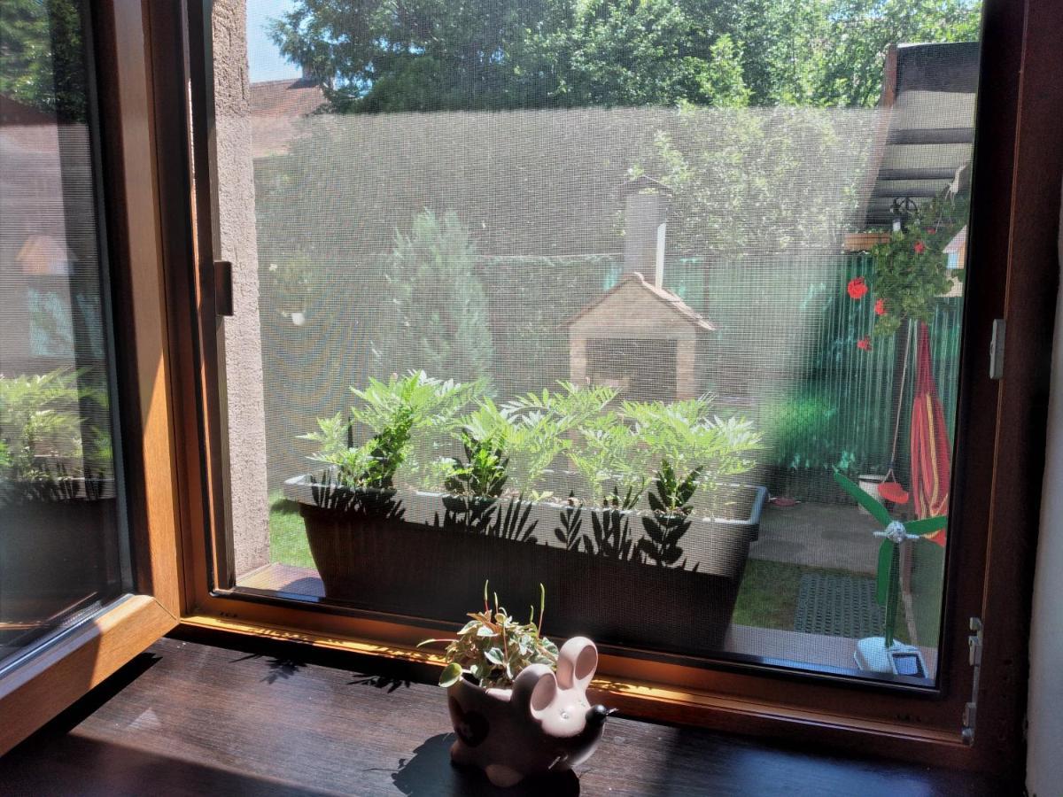 Gavri'S Relaxing Place 布拉索夫 外观 照片